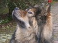 filou 21 (6)
